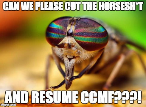 CAN WE PLEASE CUT THE HORSESH*T AND RESUME CCMF???! | made w/ Imgflip meme maker