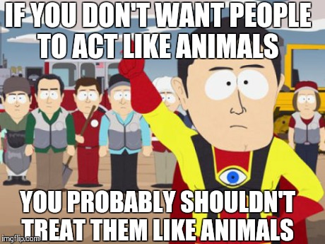 Captain Hindsight Meme | IF YOU DON'T WANT PEOPLE TO ACT LIKE ANIMALS YOU PROBABLY SHOULDN'T TREAT THEM LIKE ANIMALS | image tagged in memes,captain hindsight | made w/ Imgflip meme maker