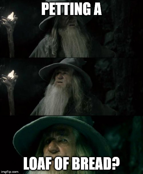 Confused Gandalf Meme | PETTING A LOAF OF BREAD? | image tagged in memes,confused gandalf | made w/ Imgflip meme maker