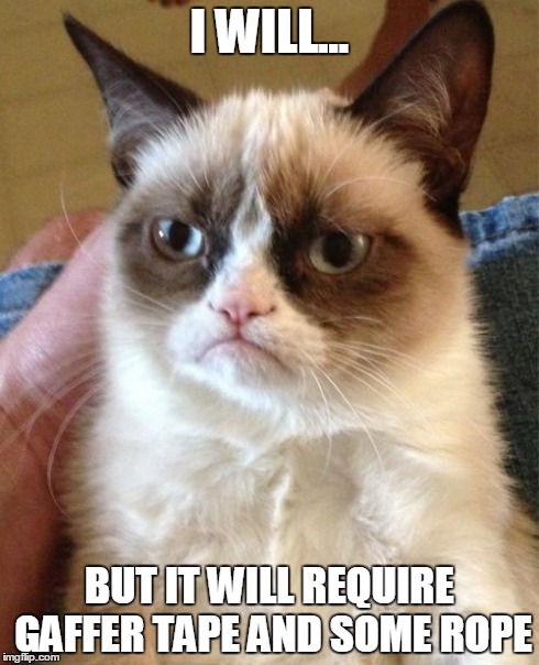 Grumpy Cat Meme | I WILL... BUT IT WILL REQUIRE GAFFER TAPE AND SOME ROPE | image tagged in memes,grumpy cat | made w/ Imgflip meme maker