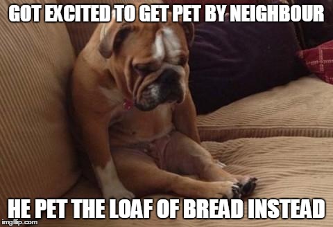 sad dog | GOT EXCITED TO GET PET BY NEIGHBOUR HE PET THE LOAF OF BREAD INSTEAD | image tagged in sad dog | made w/ Imgflip meme maker