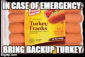 IN CASE OF EMERGENCY: BRING BACKUP TURKEY | made w/ Imgflip meme maker