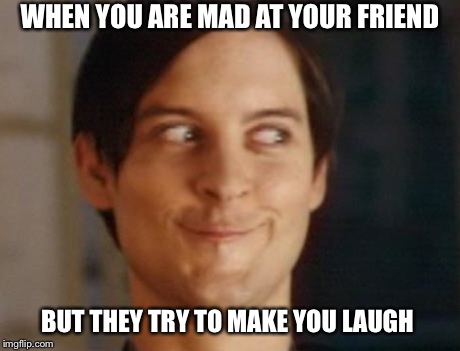 Spiderman Peter Parker | WHEN YOU ARE MAD AT YOUR FRIEND BUT THEY TRY TO MAKE YOU LAUGH | image tagged in memes,spiderman peter parker | made w/ Imgflip meme maker
