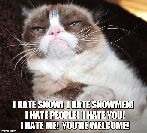 You're Welcome | I HATE SNOW!  I HATE SNOWMEN!  I HATE PEOPLE!  I HATE YOU!  I HATE ME!  YOU'RE WELCOME! | image tagged in memes,grumpy cat | made w/ Imgflip meme maker