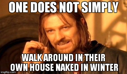One Does Not Simply Meme | ONE DOES NOT SIMPLY WALK AROUND IN THEIR OWN HOUSE NAKED IN WINTER | image tagged in memes,one does not simply | made w/ Imgflip meme maker