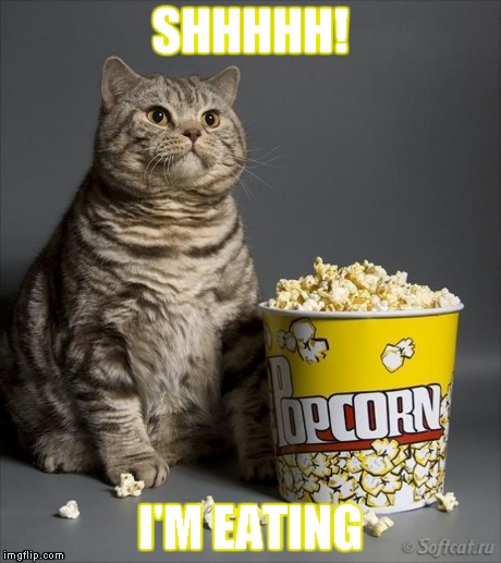 Cat eating popcorn | SHHHHH! I'M EATING | image tagged in cat eating popcorn | made w/ Imgflip meme maker