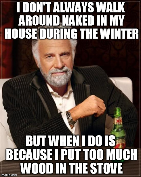 The Most Interesting Man In The World Meme | I DON'T ALWAYS WALK AROUND NAKED IN MY HOUSE DURING THE WINTER BUT WHEN I DO IS BECAUSE I PUT TOO MUCH WOOD IN THE STOVE | image tagged in memes,the most interesting man in the world | made w/ Imgflip meme maker