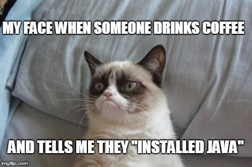 Grumpy Cat Bed | MY FACE WHEN SOMEONE DRINKS COFFEE AND TELLS ME THEY "INSTALLED JAVA" | image tagged in memes,grumpy cat bed,grumpy cat | made w/ Imgflip meme maker