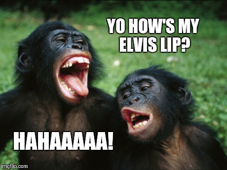 Bonobo Lyfe Meme | YO HOW'S MY ELVIS LIP? HAHAAAAA! | image tagged in memes,bonobo lyfe | made w/ Imgflip meme maker