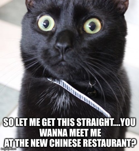 Woah Kitty | SO LET ME GET THIS STRAIGHT....YOU WANNA MEET ME AT THE NEW CHINESE RESTAURANT? | image tagged in memes,woah kitty | made w/ Imgflip meme maker