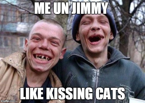 Ugly Twins Meme | ME UN JIMMY LIKE KISSING CATS | image tagged in memes,ugly twins | made w/ Imgflip meme maker