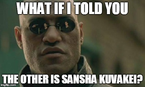Matrix Morpheus Meme | WHAT IF I TOLD YOU THE OTHER IS SANSHA KUVAKEI? | image tagged in memes,matrix morpheus | made w/ Imgflip meme maker