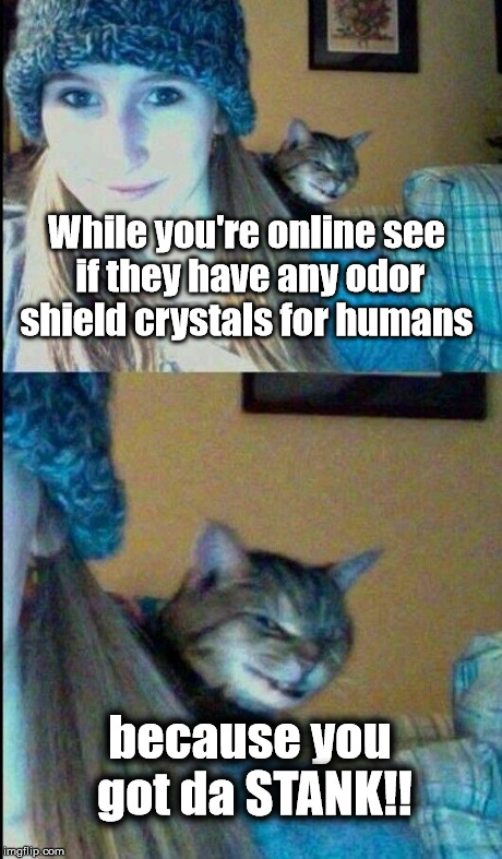While you're online see if they have any odor shield crystals for humans because you got da STANK!! | image tagged in stank | made w/ Imgflip meme maker