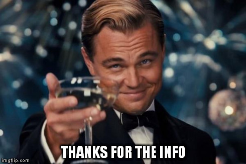Leonardo Dicaprio Cheers Meme | THANKS FOR THE INFO | image tagged in memes,leonardo dicaprio cheers | made w/ Imgflip meme maker