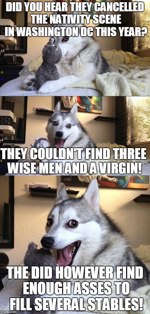 Old joke | DID YOU HEAR THEY CANCELLED THE NATIVITY SCENE IN WASHINGTON DC THIS YEAR? THE DID HOWEVER FIND ENOUGH ASSES TO FILL SEVERAL STABLES! THEY C | image tagged in memes,bad pun dog | made w/ Imgflip meme maker