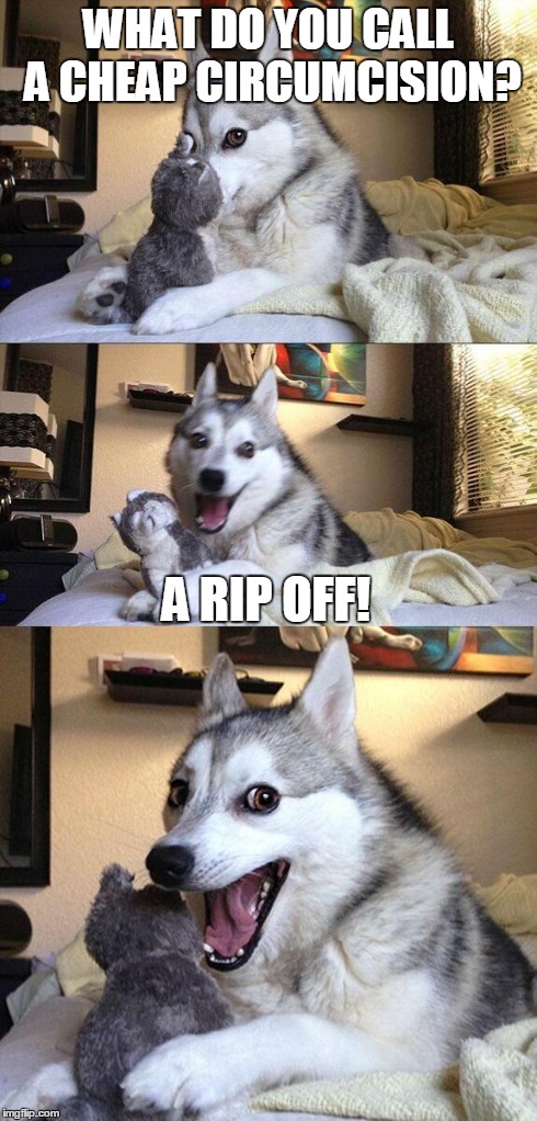 Bad Pun Dog Meme | WHAT DO YOU CALL A CHEAP CIRCUMCISION? A RIP OFF! | image tagged in memes,bad pun dog | made w/ Imgflip meme maker