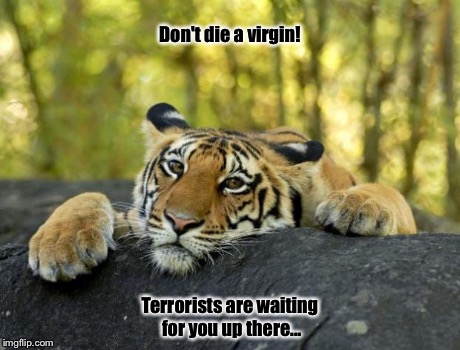 confession tiger hi res | Don't die a virgin! Terrorists are waiting for you up there... | image tagged in confession tiger hi res | made w/ Imgflip meme maker