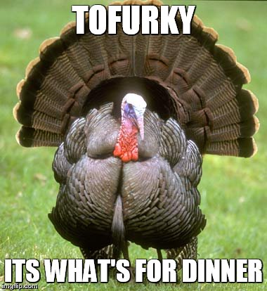 Turkey Meme | TOFURKY ITS WHAT'S FOR DINNER | image tagged in memes,turkey | made w/ Imgflip meme maker