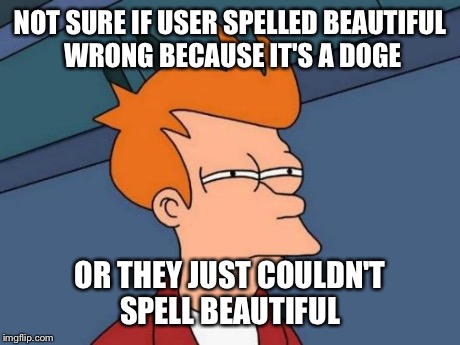 Futurama Fry Meme | NOT SURE IF USER SPELLED BEAUTIFUL WRONG BECAUSE IT'S A DOGE OR THEY JUST COULDN'T SPELL BEAUTIFUL | image tagged in memes,futurama fry | made w/ Imgflip meme maker