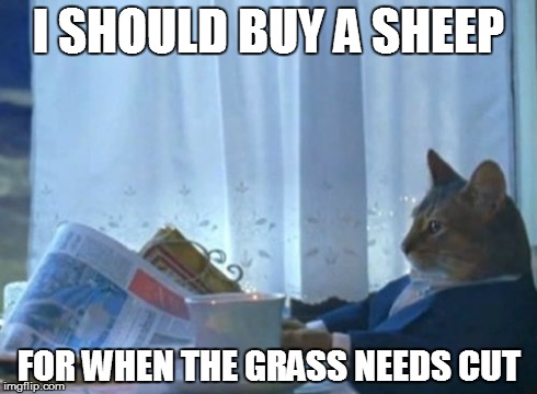 I Should Buy A Boat Cat | I SHOULD BUY A SHEEP FOR WHEN THE GRASS NEEDS CUT | image tagged in memes,i should buy a boat cat | made w/ Imgflip meme maker