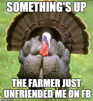 Turkey | SOMETHING'S UP THE FARMER JUST UNFRIENDED ME ON FB | image tagged in memes,turkey | made w/ Imgflip meme maker