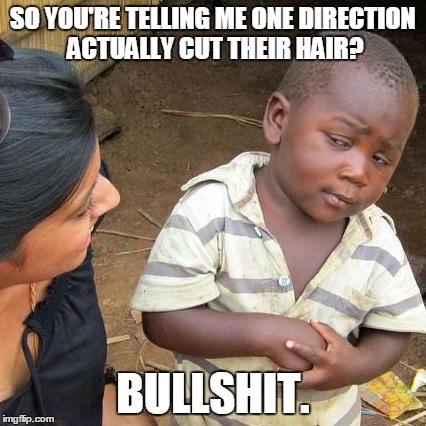 The World Is Full Of Crap | SO YOU'RE TELLING ME ONE DIRECTION ACTUALLY CUT THEIR HAIR? BULLSHIT. | image tagged in memes,third world skeptical kid | made w/ Imgflip meme maker