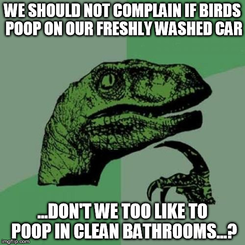 Philosoraptor | WE SHOULD NOT COMPLAIN IF BIRDS POOP ON OUR FRESHLY WASHED CAR ...DON'T WE TOO LIKE TO POOP IN CLEAN BATHROOMS...? | image tagged in memes,philosoraptor | made w/ Imgflip meme maker