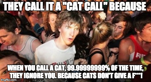 Sudden Clarity Clarence | THEY CALL IT A "CAT CALL" BECAUSE WHEN YOU CALL A CAT, 99.99999999% OF THE TIME, THEY IGNORE YOU. BECAUSE CATS DON'T GIVE A F***! | image tagged in memes,sudden clarity clarence,AdviceAnimals | made w/ Imgflip meme maker