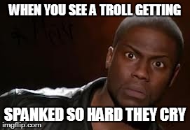Kevin Hart | WHEN YOU SEE A TROLL GETTING SPANKED SO HARD THEY CRY | image tagged in memes,kevin hart the hell | made w/ Imgflip meme maker