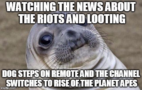 Awkward Moment Sealion | WATCHING THE NEWS ABOUT THE RIOTS AND LOOTING DOG STEPS ON REMOTE AND THE CHANNEL SWITCHES TO RISE OF THE PLANET APES | image tagged in memes,awkward moment sealion,AdviceAnimals | made w/ Imgflip meme maker