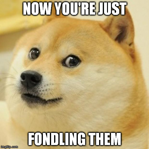 Doge Meme | NOW YOU'RE JUST FONDLING THEM | image tagged in memes,doge | made w/ Imgflip meme maker