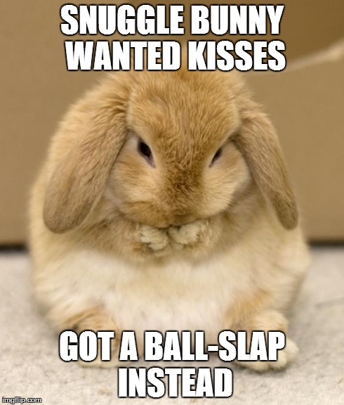 Dramatic Bunny | SNUGGLE BUNNY WANTED KISSES GOT A BALL-SLAP INSTEAD | image tagged in dramatic bunny | made w/ Imgflip meme maker