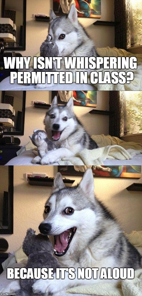 Bad Pun Dog Meme | WHY ISN'T WHISPERING PERMITTED IN CLASS? BECAUSE IT'S NOT ALOUD | image tagged in memes,bad pun dog | made w/ Imgflip meme maker