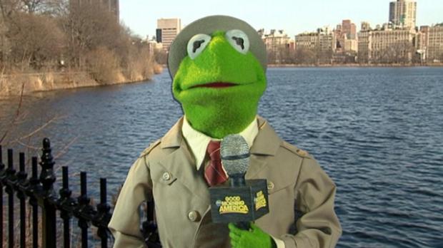 High Quality Kermit News Report Blank Meme Template