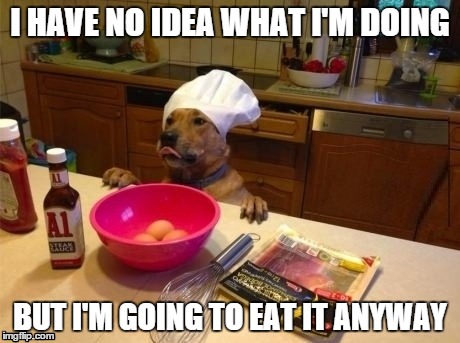 But I'm going to eat it anyway | I HAVE NO IDEA WHAT I'M DOING BUT I'M GOING TO EAT IT ANYWAY | image tagged in i have no idea what i am doing,dogs,funny | made w/ Imgflip meme maker