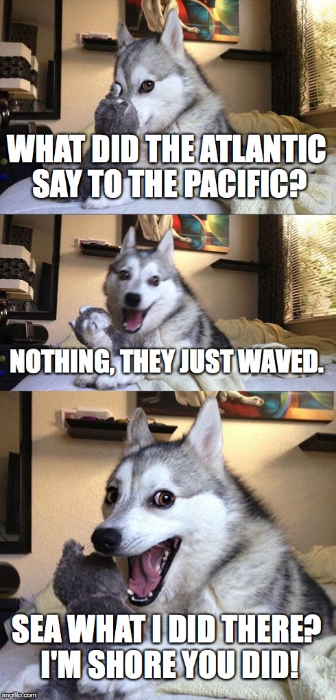 Bad Pun Dog Meme | WHAT DID THE ATLANTIC SAY TO THE PACIFIC? NOTHING, THEY JUST WAVED. SEA WHAT I DID THERE? I'M SHORE YOU DID! | image tagged in memes,bad pun dog,AdviceAnimals | made w/ Imgflip meme maker