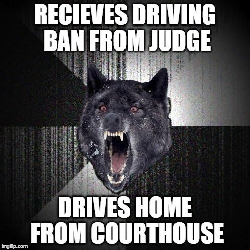 Insanity Wolf | RECIEVES DRIVING BAN FROM JUDGE DRIVES HOME FROM COURTHOUSE | image tagged in memes,insanity wolf | made w/ Imgflip meme maker