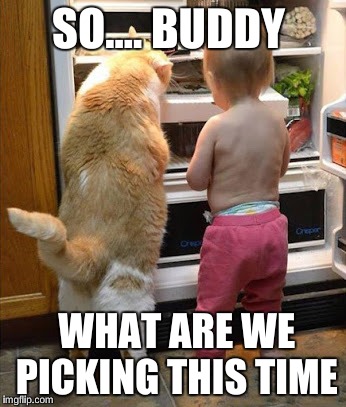 SO.... BUDDY WHAT ARE WE PICKING THIS TIME | image tagged in awesome | made w/ Imgflip meme maker