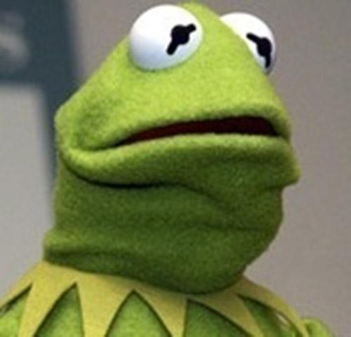High Quality Kermit The Frog Blank Meme Template