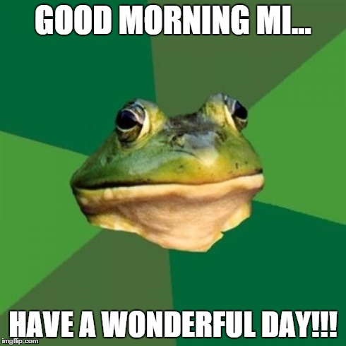 Foul Bachelor Frog | GOOD MORNING MI... HAVE A WONDERFUL DAY!!! | image tagged in memes,foul bachelor frog | made w/ Imgflip meme maker
