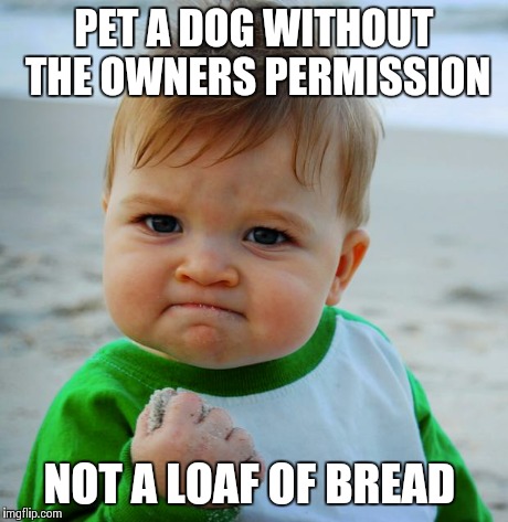 Success Baby | PET A DOG WITHOUT THE OWNERS PERMISSION NOT A LOAF OF BREAD | image tagged in success baby,AdviceAnimals | made w/ Imgflip meme maker