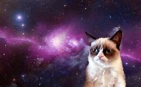 galaxy grumpy cat Blank Meme Template