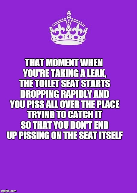 Keep Calm And Carry On Purple Meme | THAT MOMENT WHEN YOU'RE TAKING A LEAK, THE TOILET SEAT STARTS DROPPING RAPIDLY AND YOU PISS ALL OVER THE PLACE TRYING TO CATCH IT SO THAT YO | image tagged in memes,keep calm and carry on purple | made w/ Imgflip meme maker