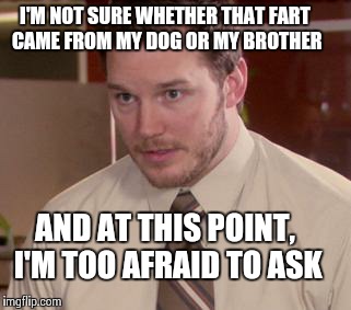 Afraid To Ask Andy Meme | I'M NOT SURE WHETHER THAT FART CAME FROM MY DOG OR MY BROTHER AND AT THIS POINT, I'M TOO AFRAID TO ASK | image tagged in memes,afraid to ask andy | made w/ Imgflip meme maker