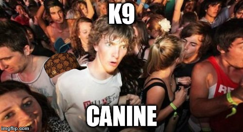 Sudden Clarity Clarence | K9 CANINE | image tagged in memes,sudden clarity clarence,scumbag | made w/ Imgflip meme maker