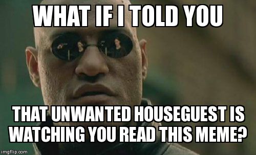 Matrix Morpheus | WHAT IF I TOLD YOU THAT UNWANTED HOUSEGUEST IS WATCHING YOU READ THIS MEME? | image tagged in memes,matrix morpheus | made w/ Imgflip meme maker