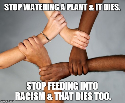Let's End Racism Once & For All | STOP WATERING A PLANT & IT DIES. STOP FEEDING INTO RACISM & THAT DIES TOO. | image tagged in racism | made w/ Imgflip meme maker