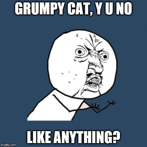 Y U No Meme | GRUMPY CAT, Y U NO LIKE ANYTHING? | image tagged in memes,y u no | made w/ Imgflip meme maker