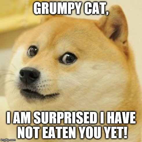 Doge Meme | GRUMPY CAT, I AM SURPRISED I HAVE NOT EATEN YOU YET! | image tagged in memes,doge | made w/ Imgflip meme maker