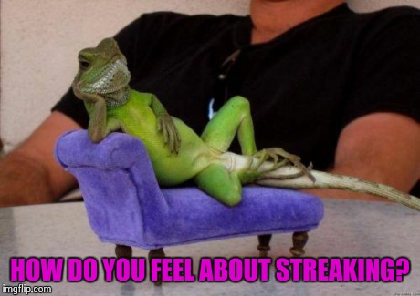 What I ask when I see a field of sprinklers going off. | HOW DO YOU FEEL ABOUT STREAKING? | image tagged in memes,sassy iguana,streaking | made w/ Imgflip meme maker